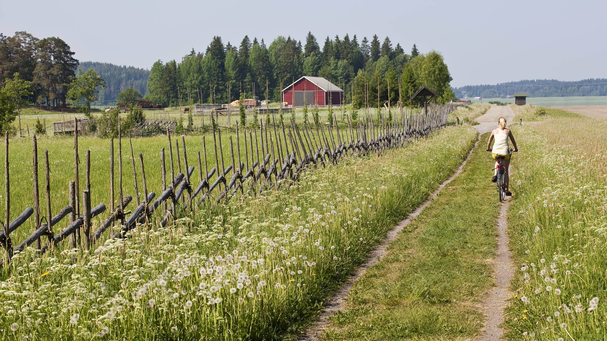 finland-leads-world-in-sustainable-development-un-report